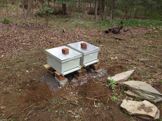 Setting up two brand new hives to receive nucleus colonies.